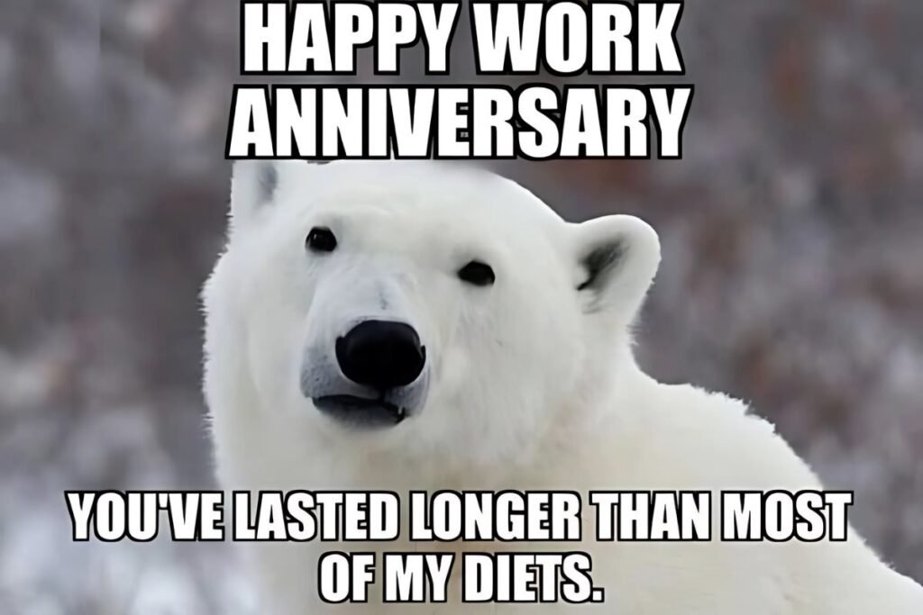 Work anniversary meme